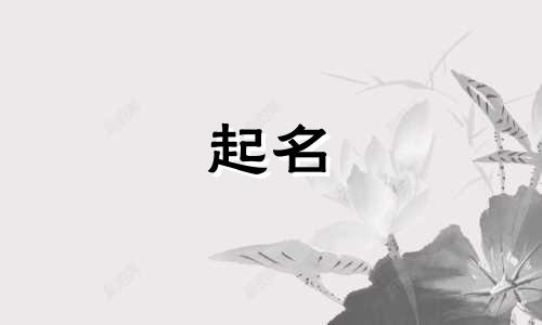 妈妈姓贺爸爸姓石取名男孩子