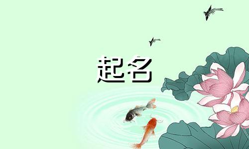 郝姓和程姓的女孩名字大全