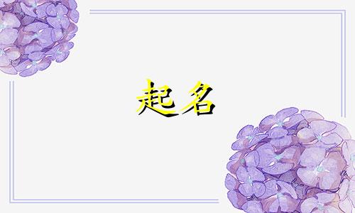 路姓女孩名字2024年属龙起名字
