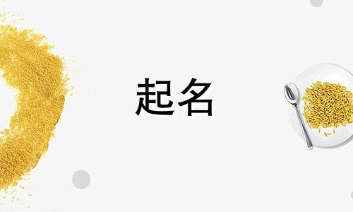 兰姓女孩名字2024年属龙起名字