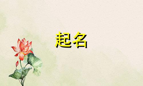 杨姓和蔡姓的女孩名字大全