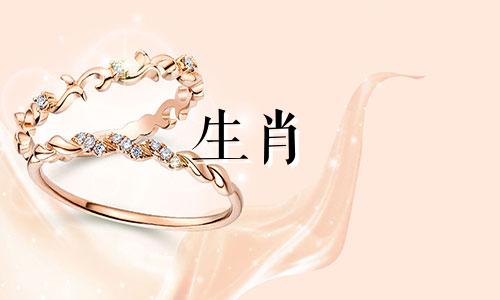 2024年5月5日十二生肖运势解析视频