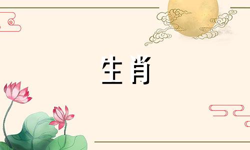 属马的女人宜配什么生肖男