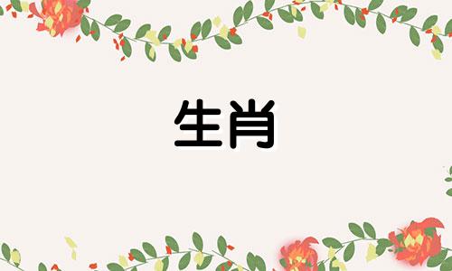 兔的贵人属相是什么生肖呢图片