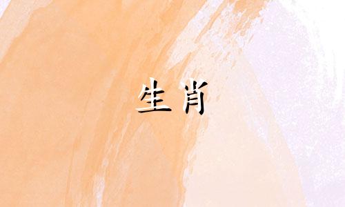2024属牛人的全年运势如何