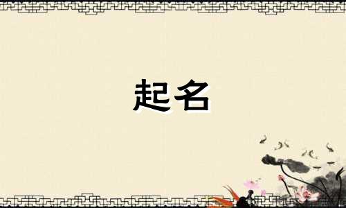 粘姓男孩名字2024年属龙起名字