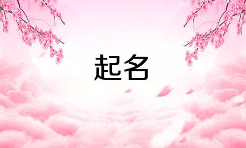 2024年陶姓龙宝宝取名字最佳字辈是多少