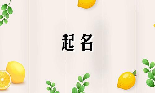 雅婷名字的含义是什么意思