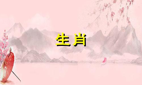 74年属虎男2024年运势具体分析图
