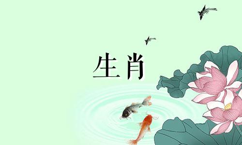 2024年属蛇人的全年运势运程如何
