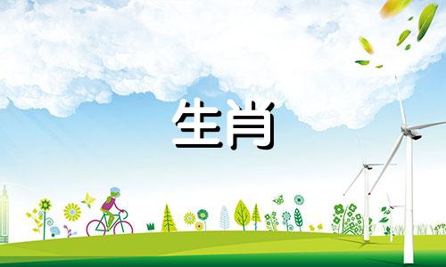 属鸡人2024年全年运势详解