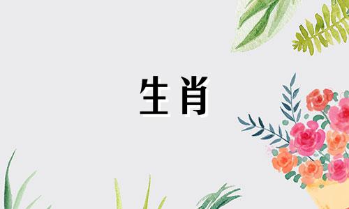 属龙人不能去哪些城市 属龙的为什么不能带龙