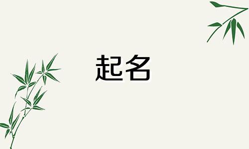 自动化公司取什么名字好 自动化公司取什么名字好听