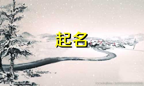 招财的鸽舍名字有哪些 招财的鸽舍名字怎么取