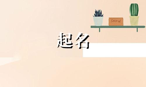 民宿怎么取名字好听又有内涵