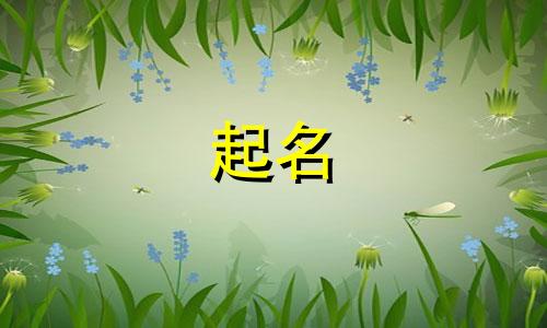 男孩姓窦起什么名字好 姓窦取什么名字好