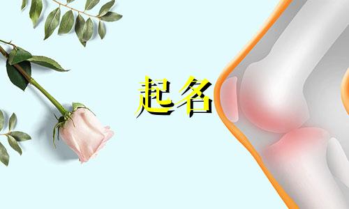草字头的字有哪些适合女孩取名字