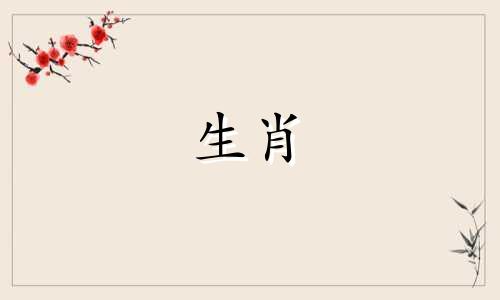 属鸡和属猪的合不合婚姻和财运