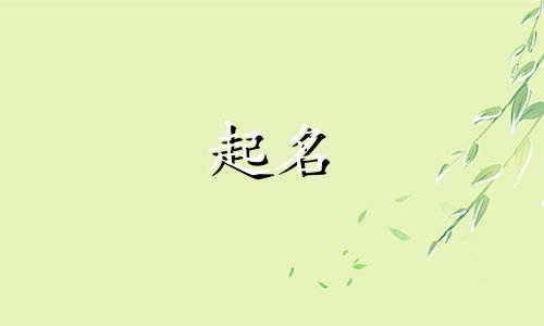 沈 姓名 姓沈的名字内涵好听