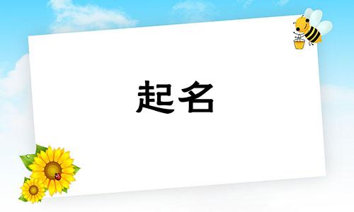 2024年开公司取名字如何取又好又旺财