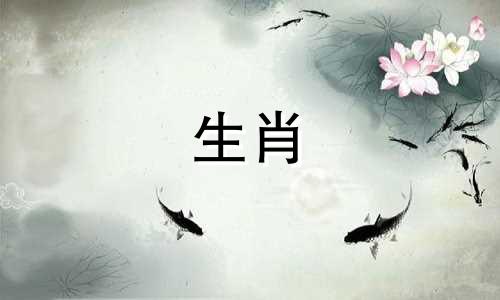 2024小年出生的男孩命运好不好?五行缺什么