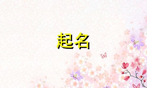 服装公司取名字大全免费查询