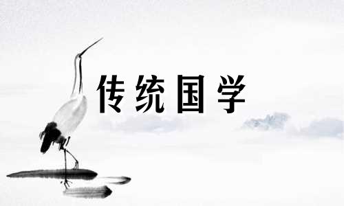 2024过年染什么颜色的头发好看