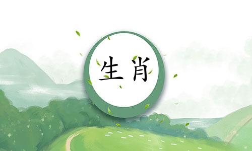 2024兔本命年忌什么属相呢女孩