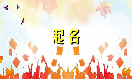 浩和皓哪个字起名大气牛宝宝