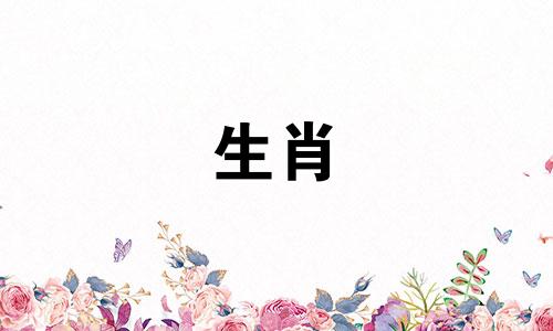 属猪的在龙年2024年运势如何