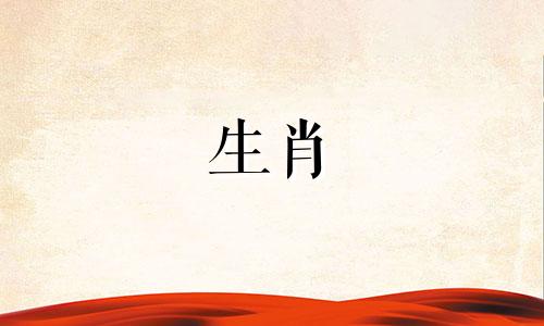 2024年风水财位如何布置好
