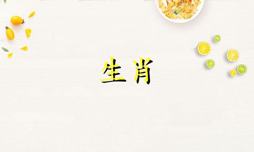 2024年属猪结婚最好的日子是哪一天