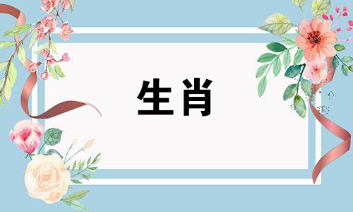 属猪人2024年有什么灾难发生