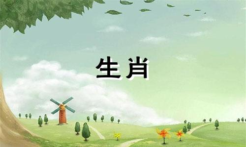 属猴人2024年犯哪些凶星呢