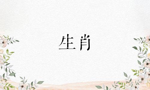 2024年灾难预言在各城市发生