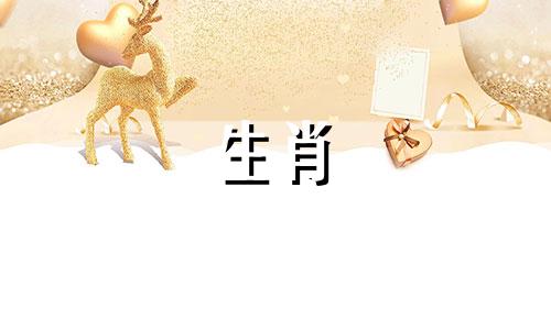 2024狗年的人今年运气如何