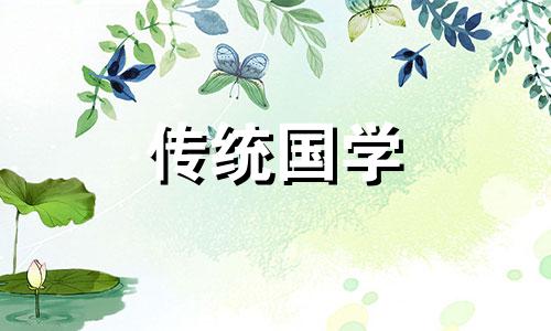 2024年出生的是什么星座