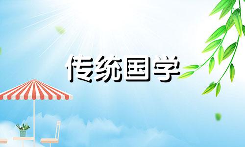 客厅养什么花好看又旺财风水