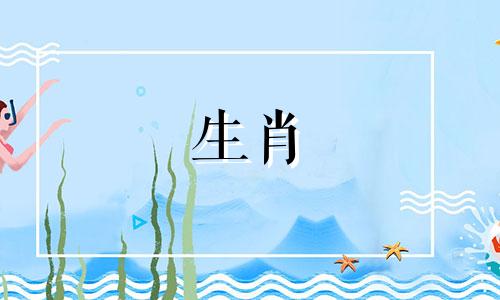 2024年属狗的人运气如何 2024年属狗的人运气好吗