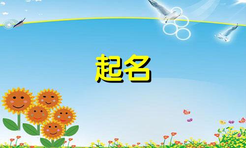 注册包过的新公司名字有哪些呢怎么取