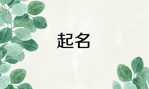 吕姓男孩名字2024年6月怎么取名
