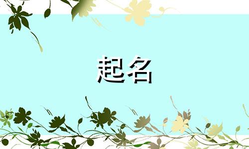 五行缺土水的公司名字大全