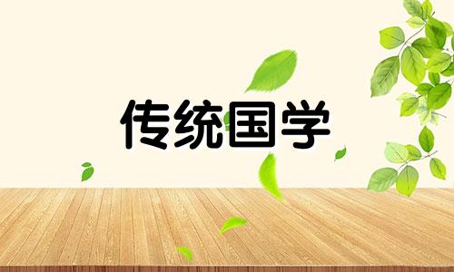 家中养龟放在什么位置会发财风水好呢