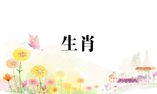 2024年属鸡人会出轨离婚吗女