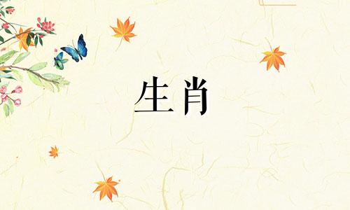 2024年3月出生的宝宝是什么命