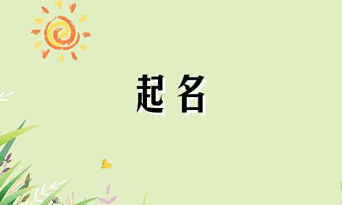 业务比较广的公司名称 业务范围广的公司怎么起名字