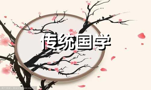 2024年家里来猫的风水预兆是什么