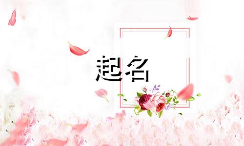 有文化高雅的公司名字有哪些