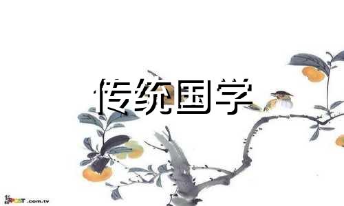 属猪11月份运势2024考试运