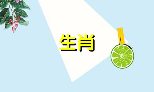 属牛的2024年实际年龄和虚岁年龄是多少